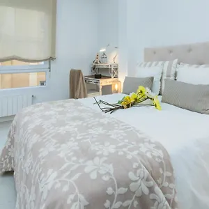 gran-apartamento-en-el-centro-de-santander.bilbaohotelsspain.com/